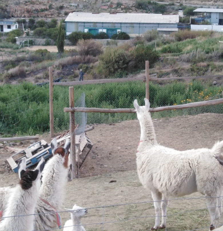 Chusmiza旅游攻略图片