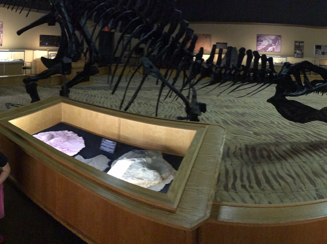 Tumbler Ridge Museum-Tumbler Ridge必去景点