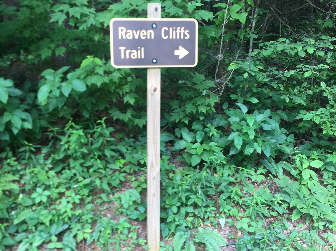 Raven Cliff Falls景点图片