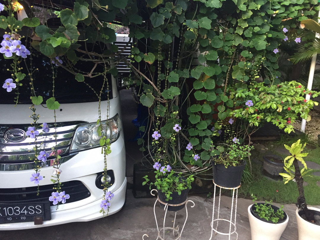 OK潜水度假酒店及Spa主图