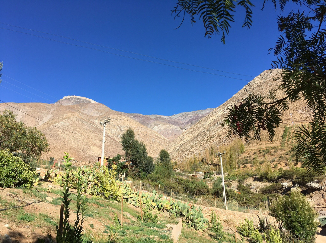 Refugios La Fontera主图