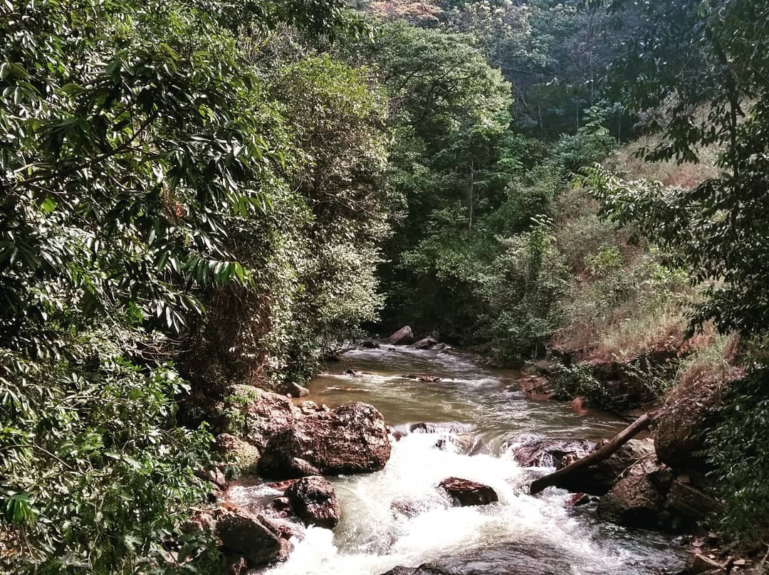 Parque Municipal do Itiquira-Formosa必去景点