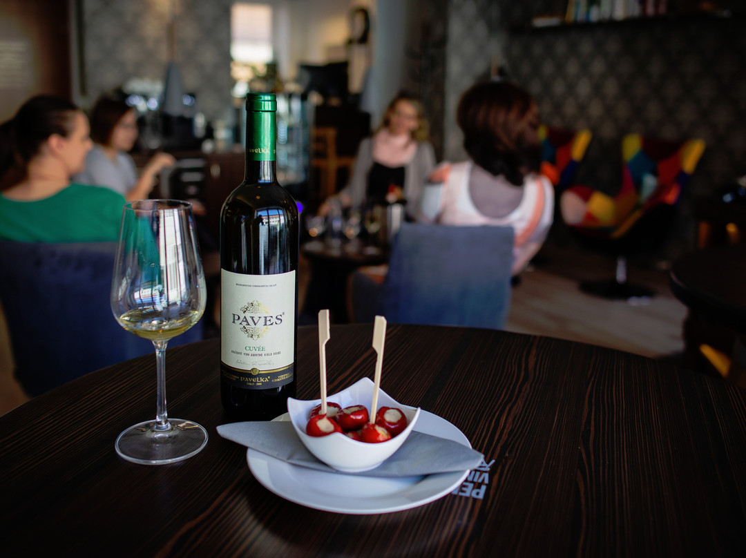 Penzion & Vinný bar Régio主图