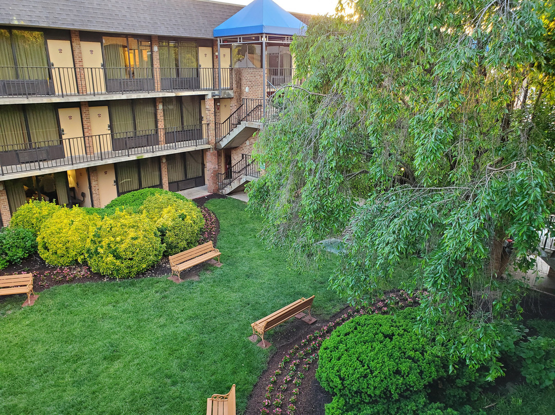 泰森斯角康福特茵酒店主图