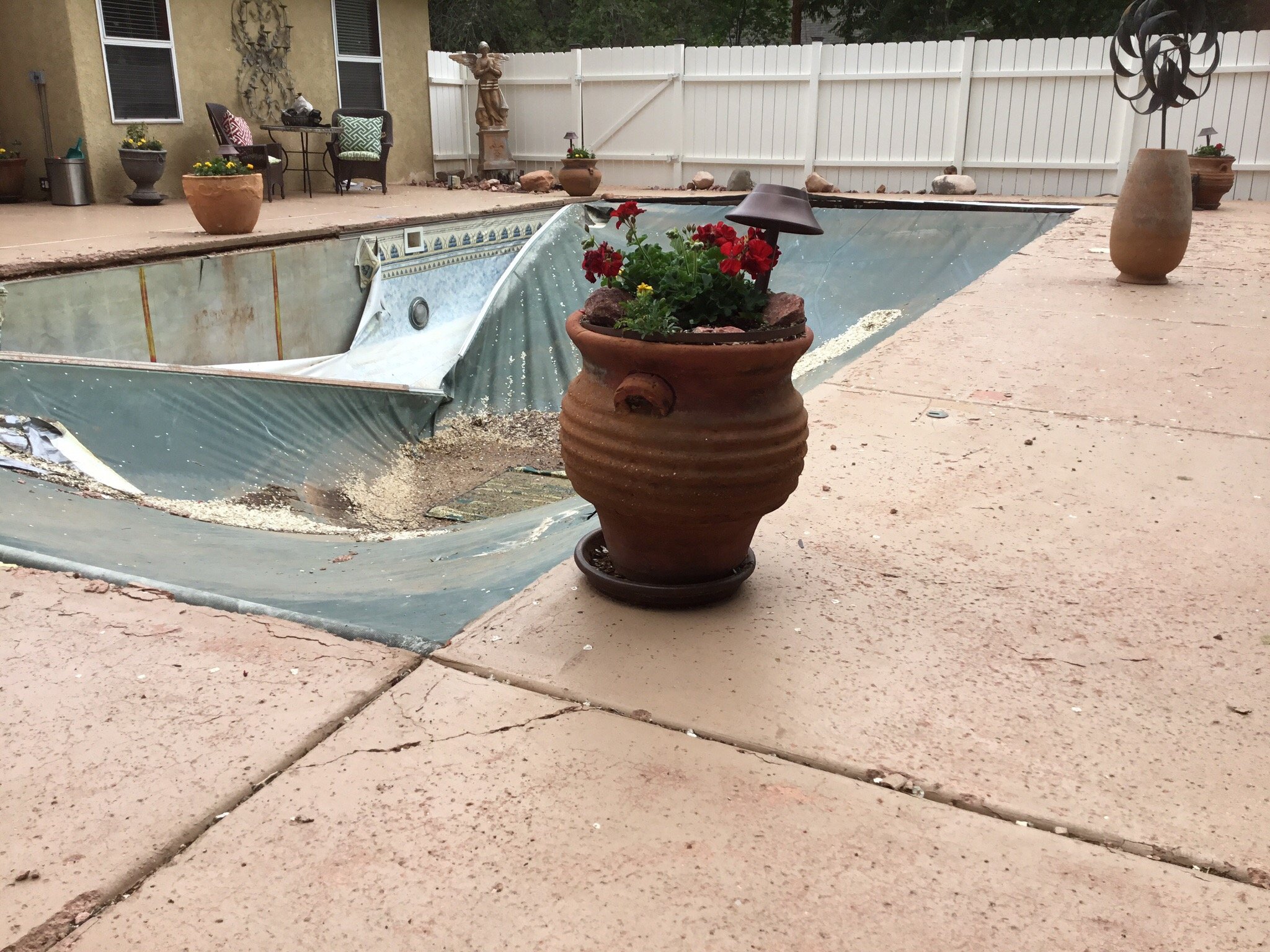 Desert Thistle-官方