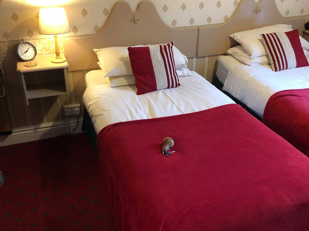 Buckingham's Hotel主图