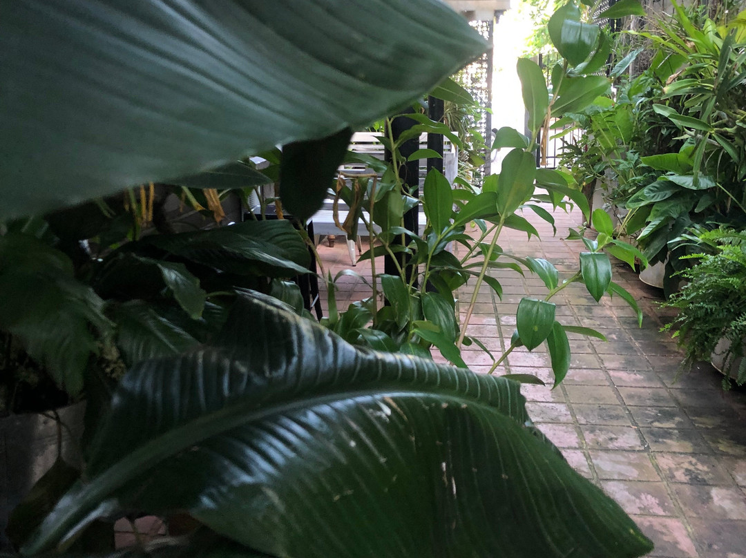 The Trader Bar-达尔文市必去景点