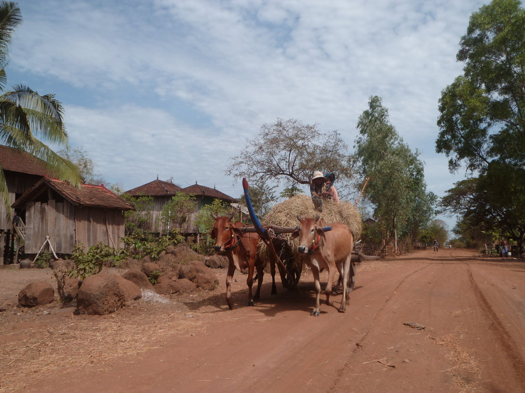 Cheung Kok Village-磅湛必去景点