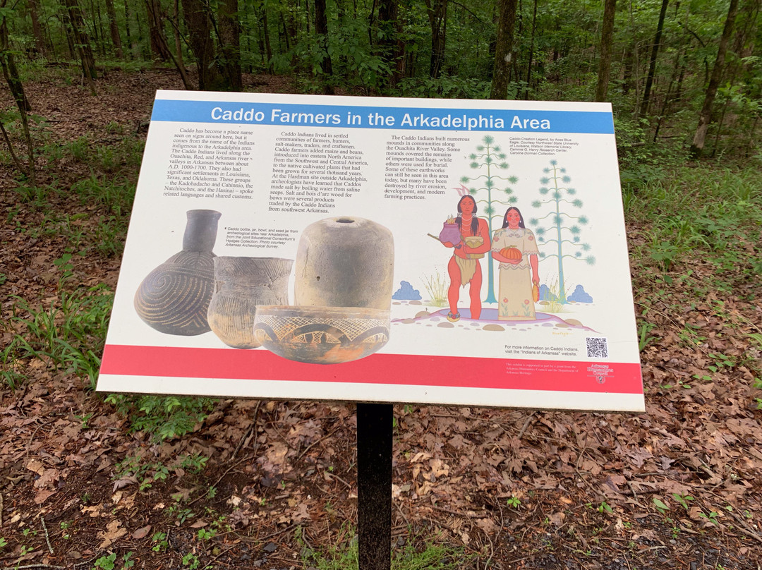 DeSoto Bluff Trail景点图片