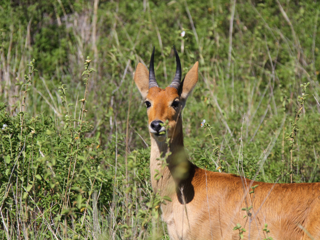 Katambuga Expedition-阿鲁沙必去景点