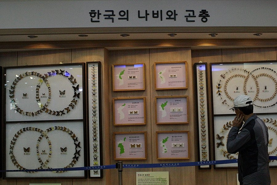 Hampyeong Expo Park - Butterfly Insect Specimen Exhibition hall-咸平郡必去景点