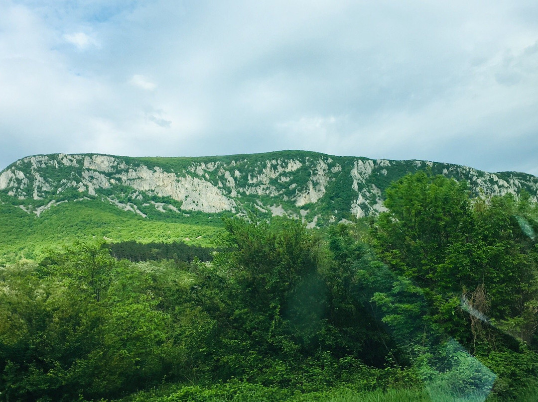 Gornjak Monastery-Petrovac必去景点