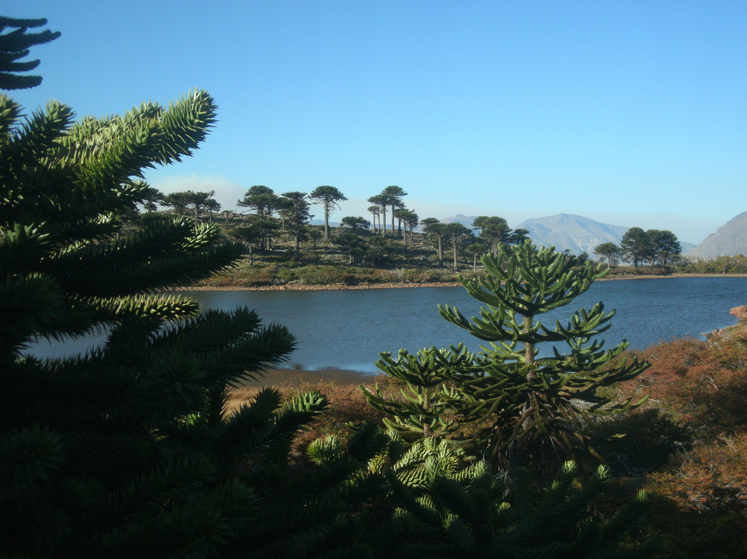 Laguna Escondida景点图片