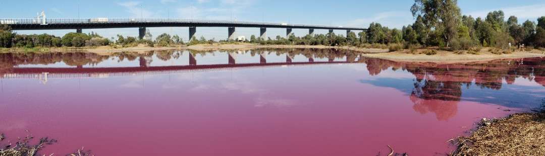 Salt Water Lake-墨尔本必去景点