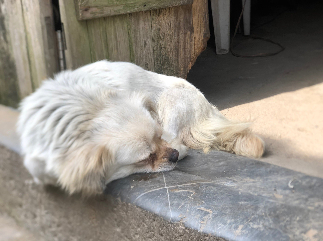 查济古建筑群-泾县必去景点