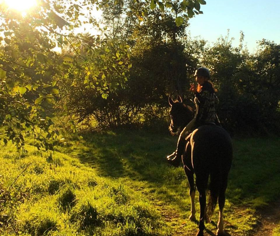 Langley 204 Horseback Riding-兰里市必去景点