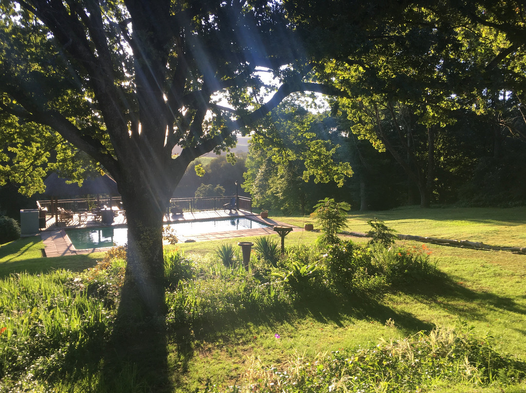 Waterford Manor主图