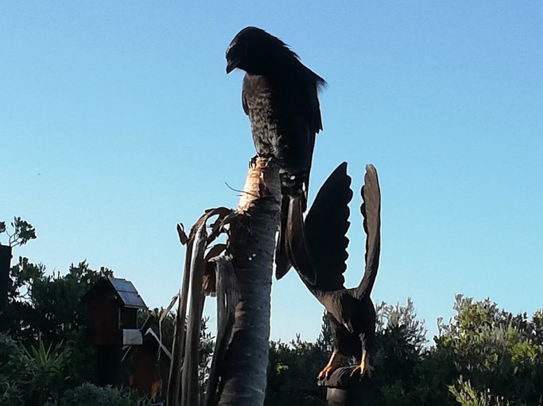 24 Houtboschbay Honeymoon Suite With a Jacuzzi主图