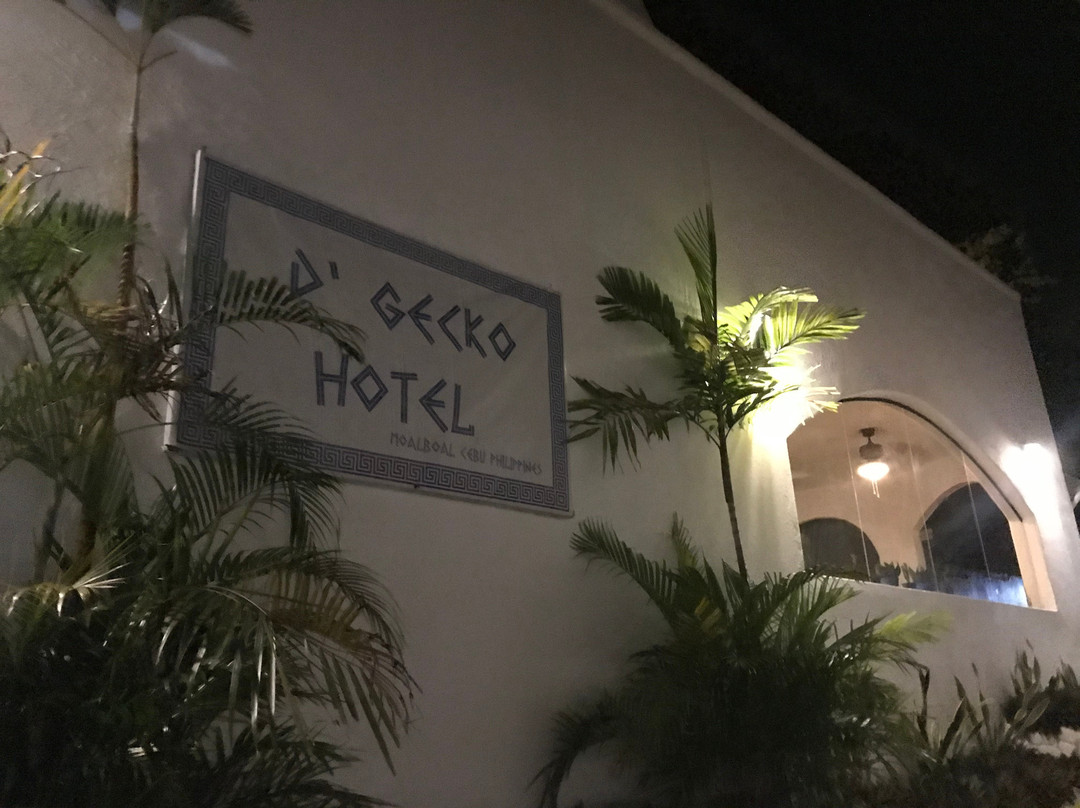 D´Gecko Hotel主图