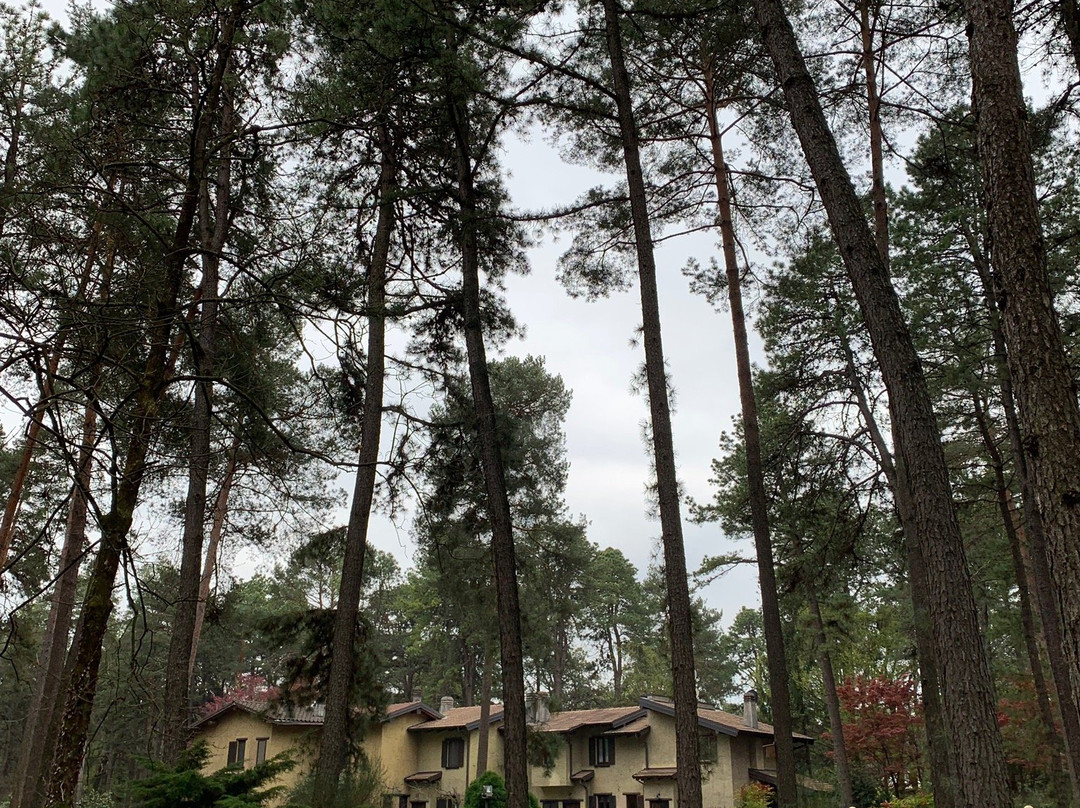 Casa Nel Bosco
