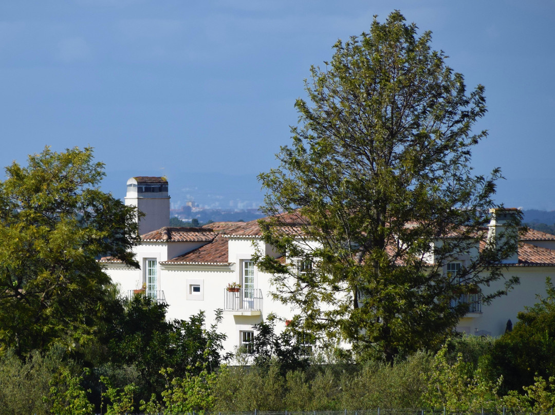 Quinta De Catralvos主图