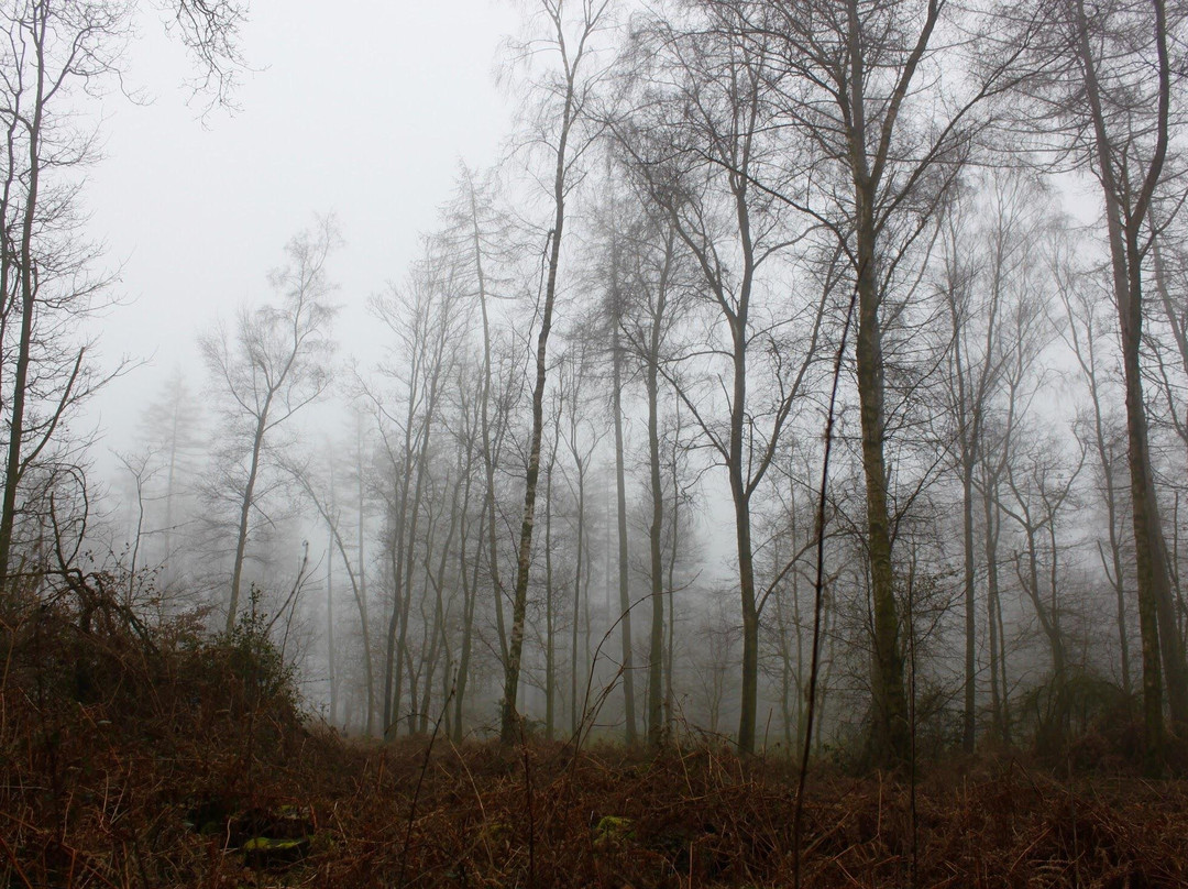 BackWoods Experiences-Stokenchurch必去景点