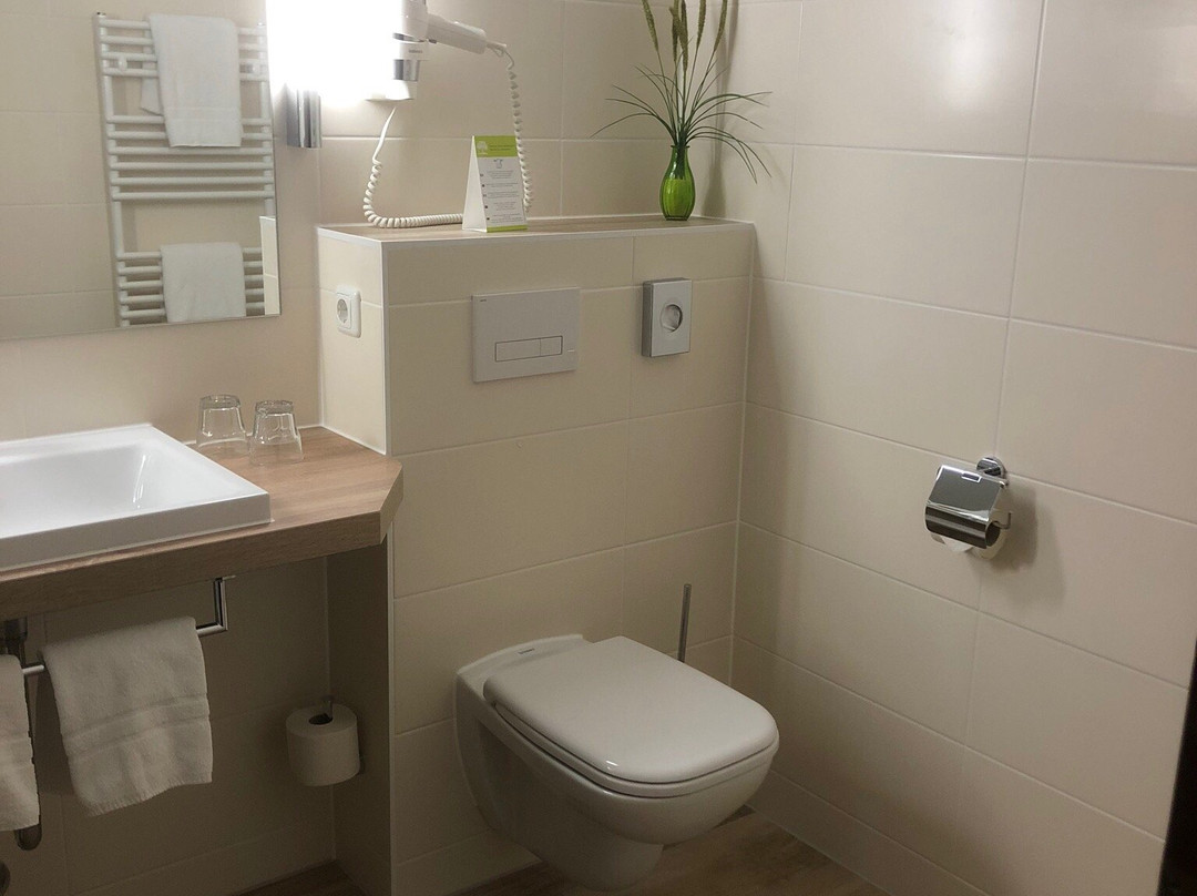 Hotel Am Stadtpark主图