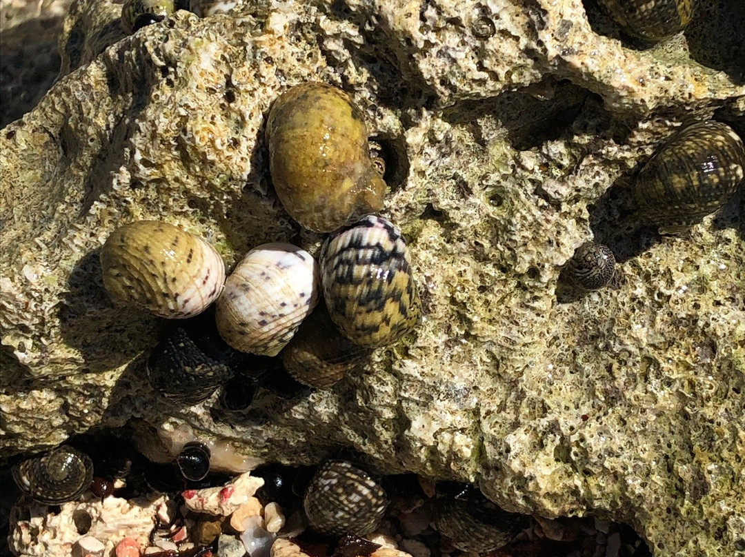 Limestone Beach-Water Island必去景点