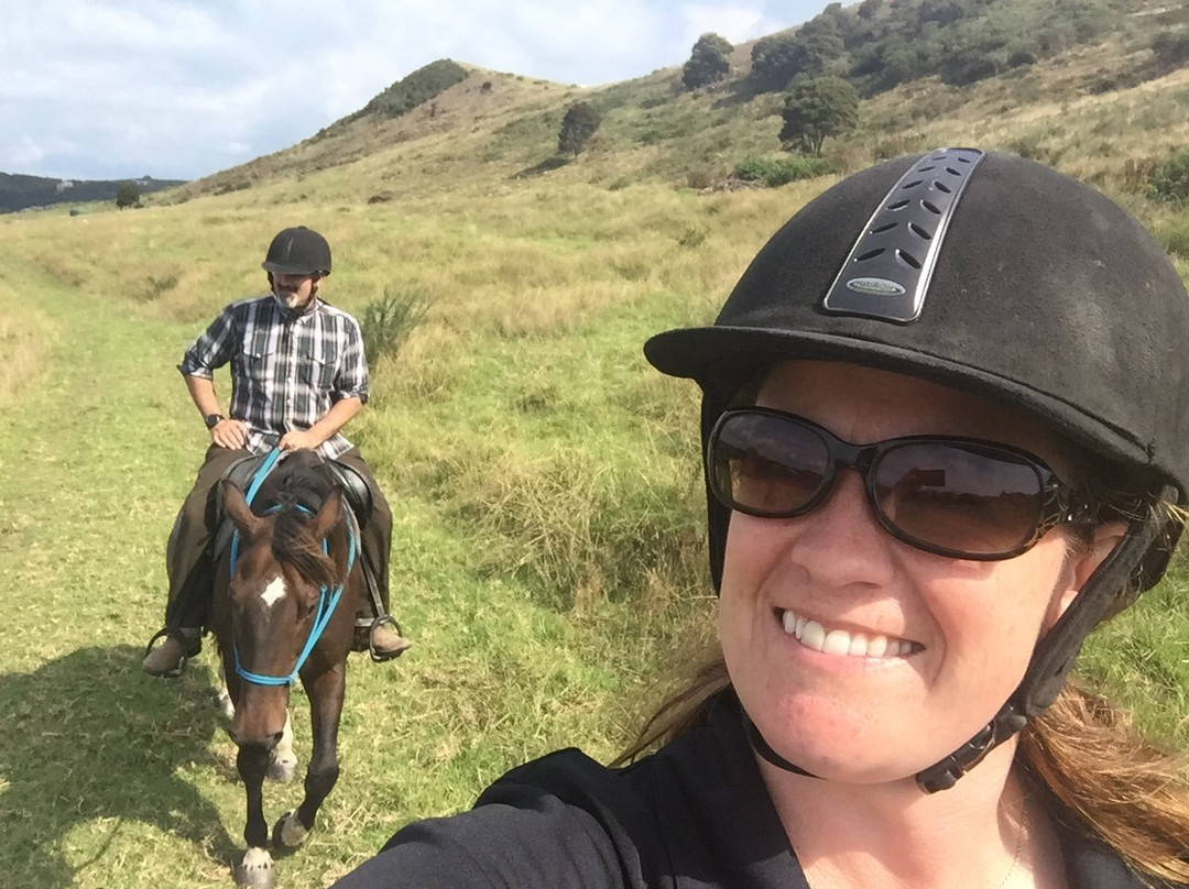 Waiheke Equestrian-怀系奇岛必去景点