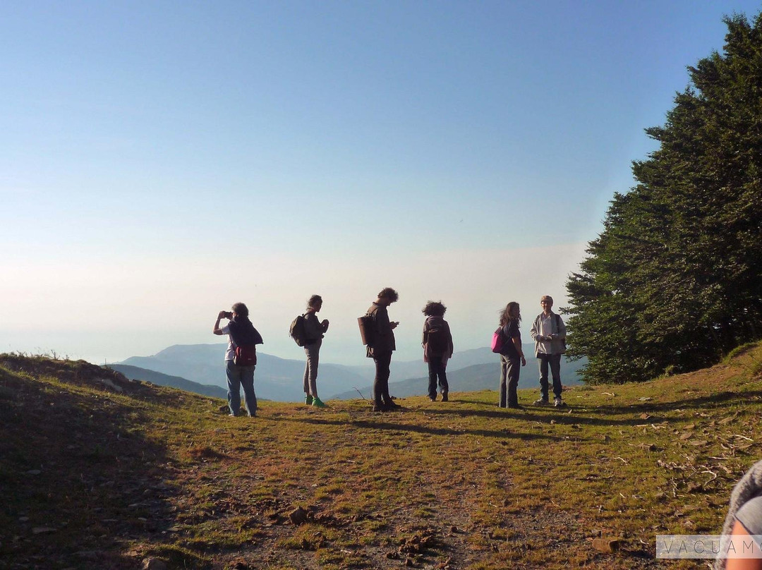 VacuaMoenia - Passeggiare in ascolto del paesaggio-巴勒莫必去景点