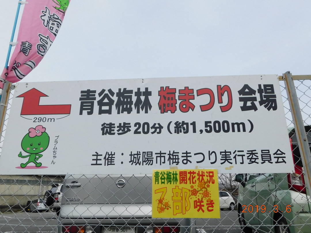 Plum Forest-城阳市必去景点