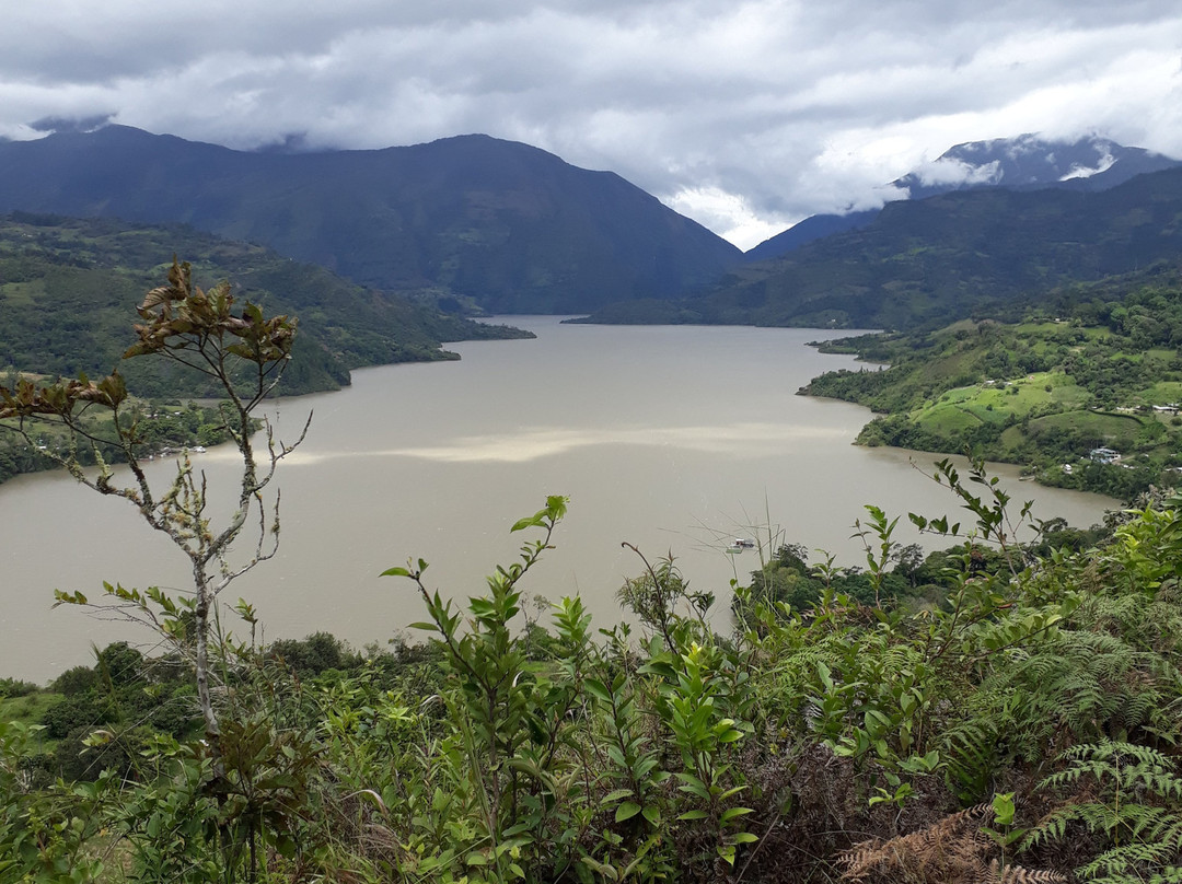 Naranjos旅游攻略图片