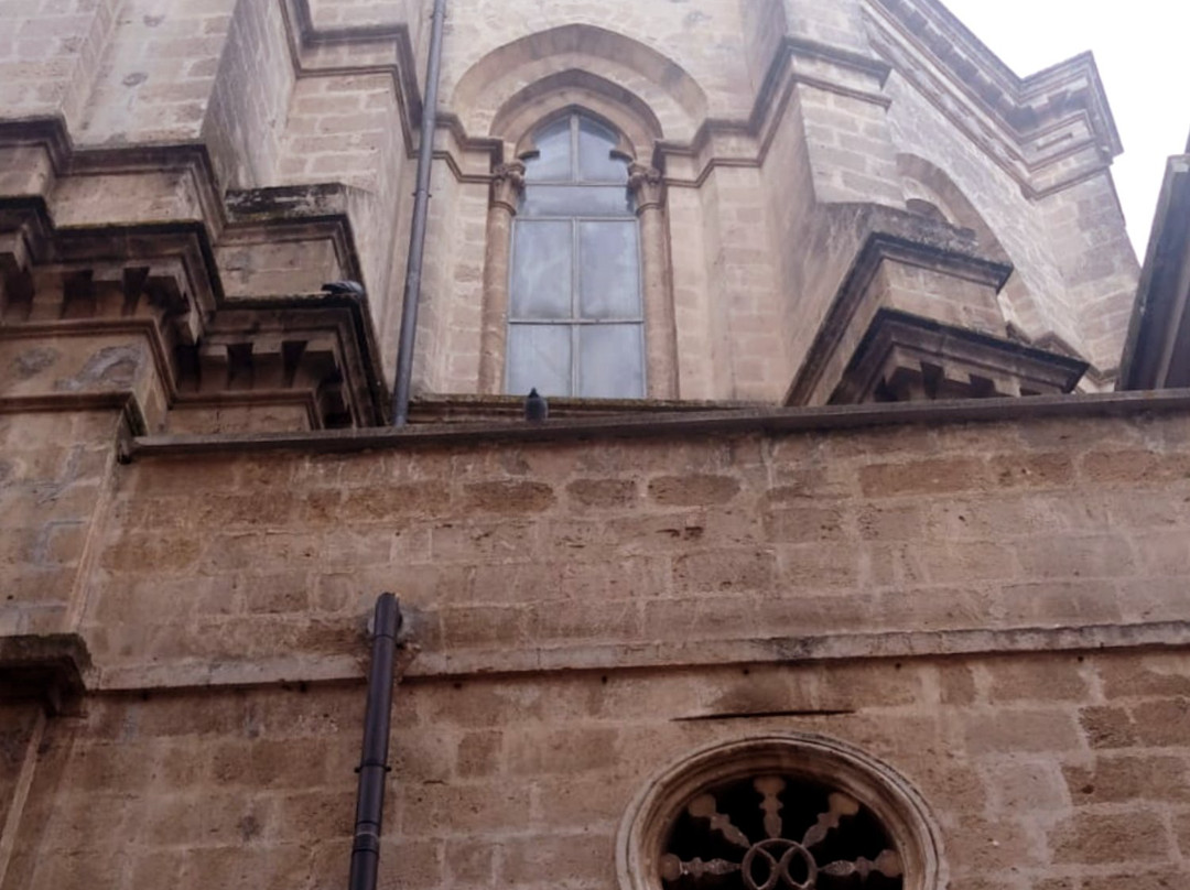 Parrocchia Santa Lucia-Gioia del Colle必去景点