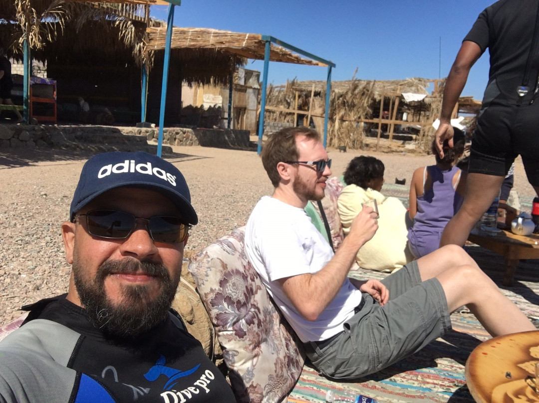 Sea Dancer Dive Resort-达哈卜必去景点