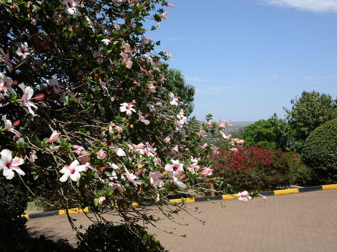 奥斯潘旅馆主图