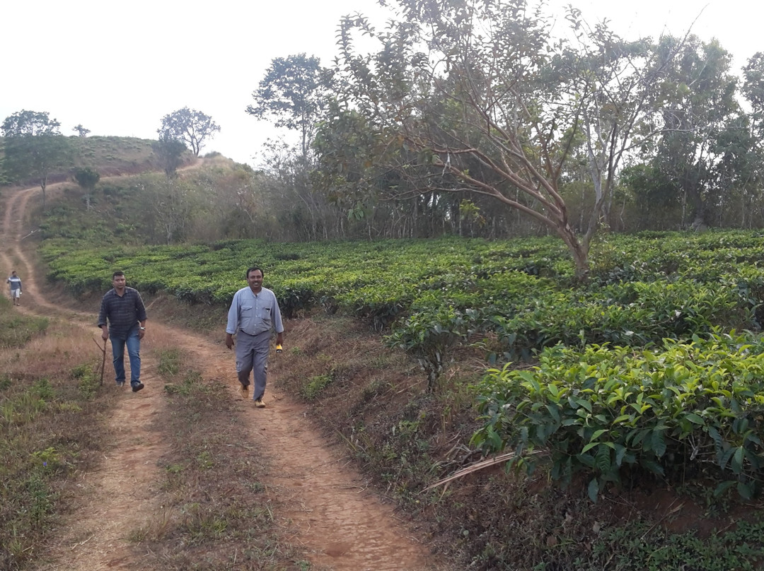 Cassells Resorts主图