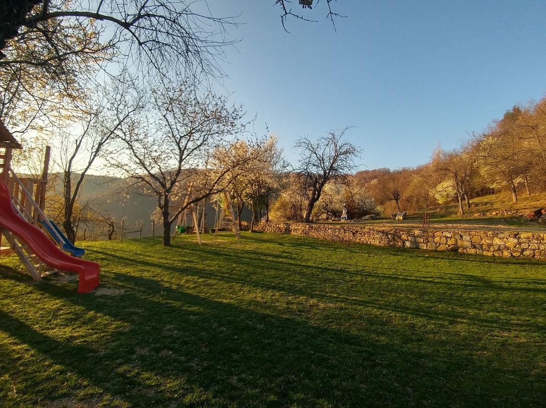 The Forest House主图