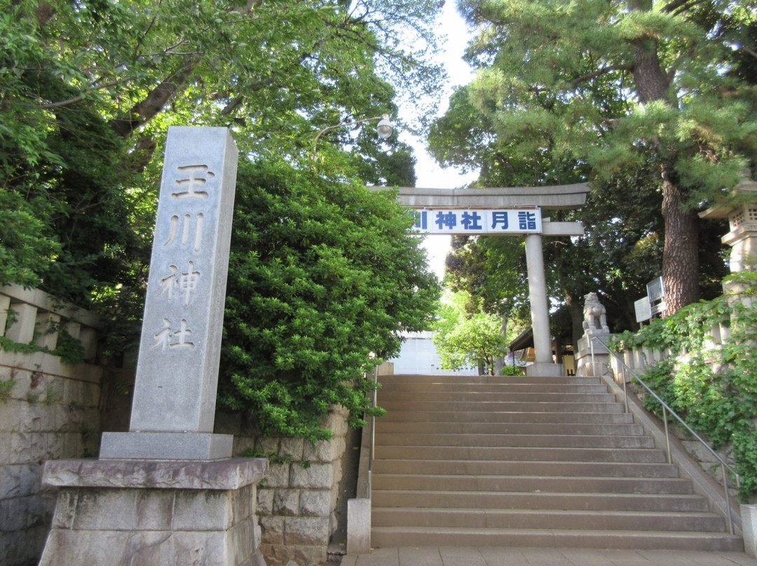 Tamagawa Shrine景点图片