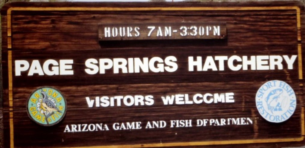 Page Springs Fish Hatchery-Cornville必去景点