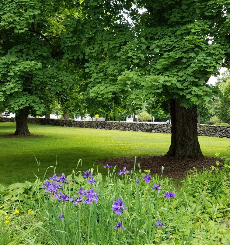 Perkins Stone Mansion & John Brown House-阿克伦必去景点