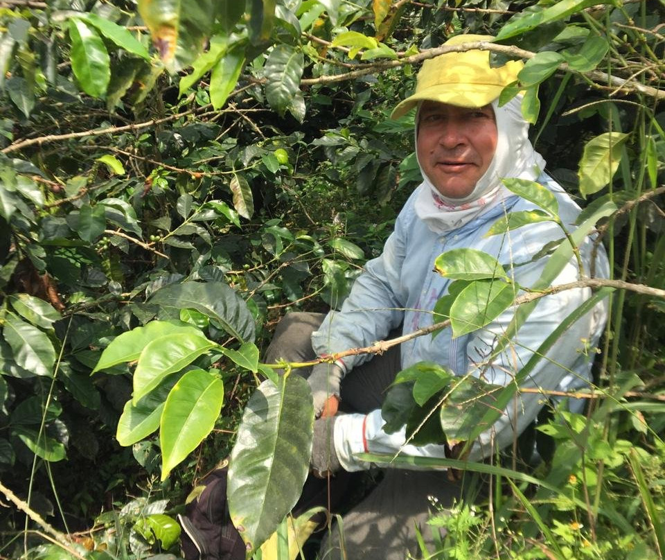 Cafe Hacienda Horizontes-Marsella必去景点