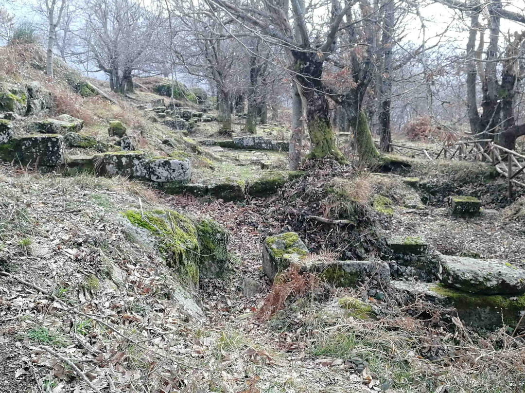 Parco archeologico della Civitella景点图片