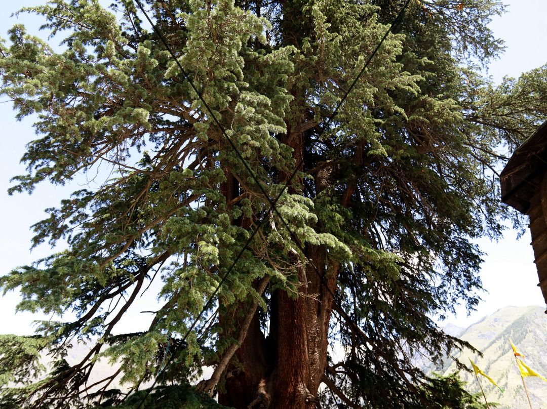 Chaurasi Temples Bharmour-Bharmour必去景点