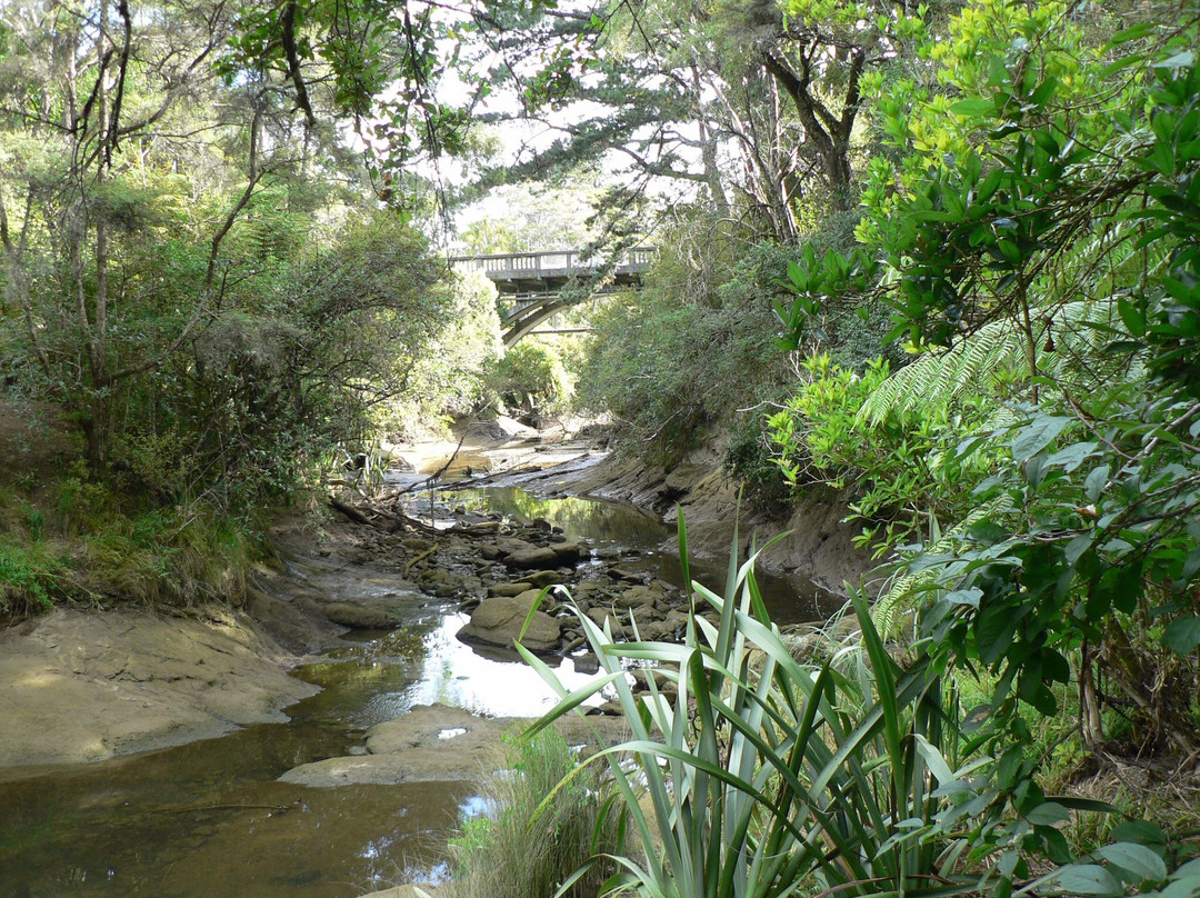 Gills Scenic Reserve-奥尔巴尼必去景点