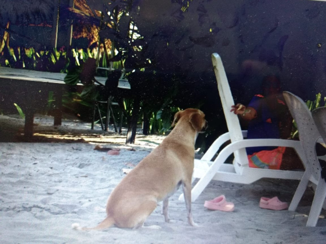 迪卡梅隆加里昂全包式酒店主图