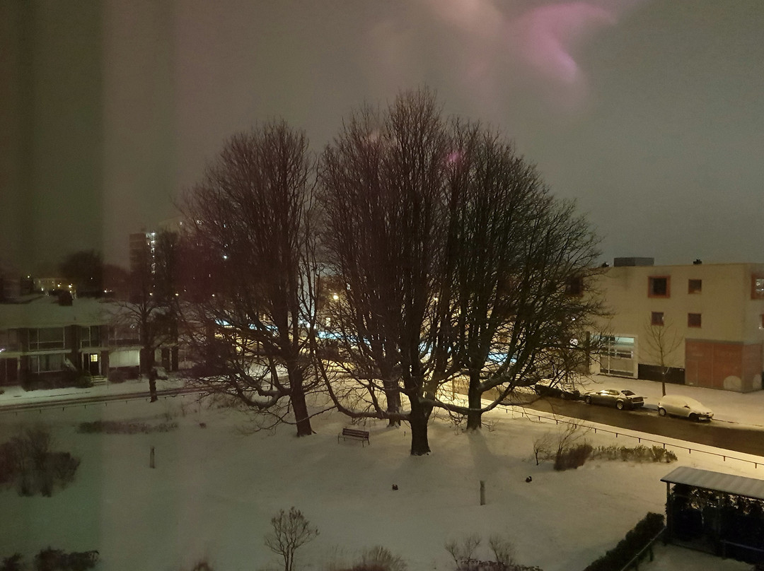 Leonardo Hotel Groningen主图