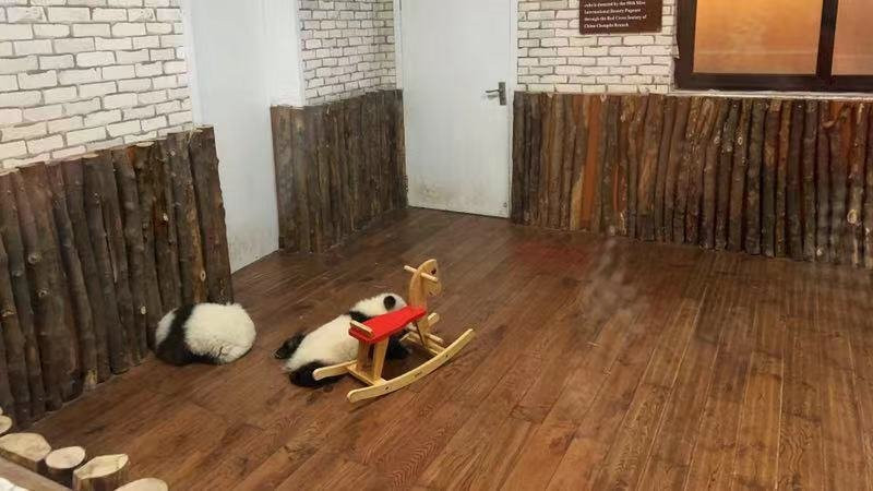 AbsoluteChengdu-成都必去景点