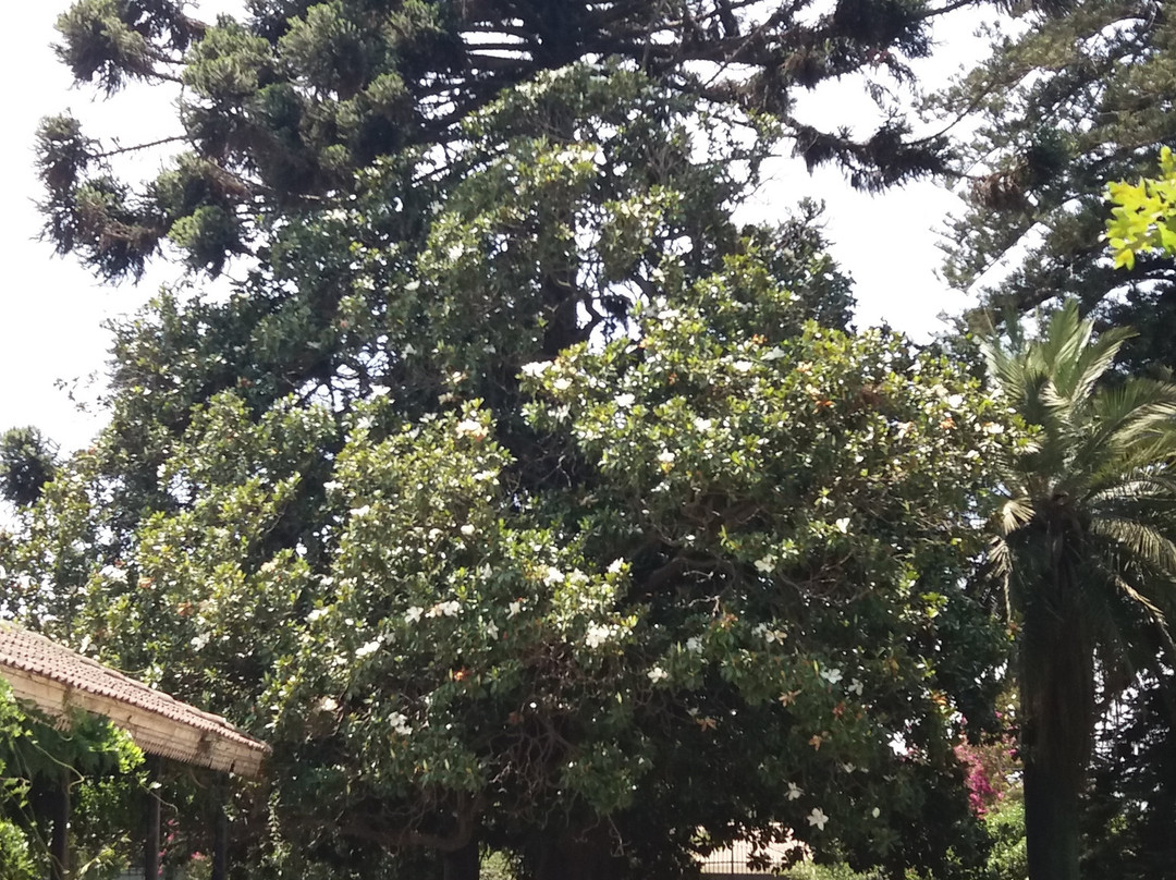 Dona Javiera Winery-El Monte必去景点