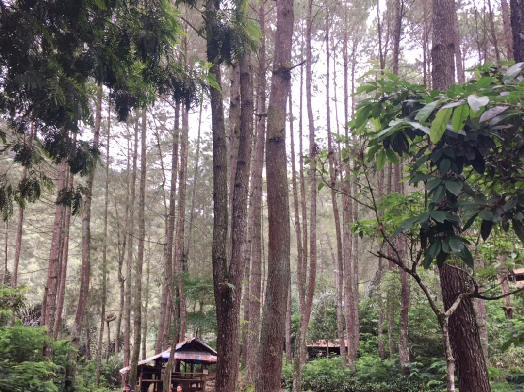 Curug Tujuh Cibolang景点图片