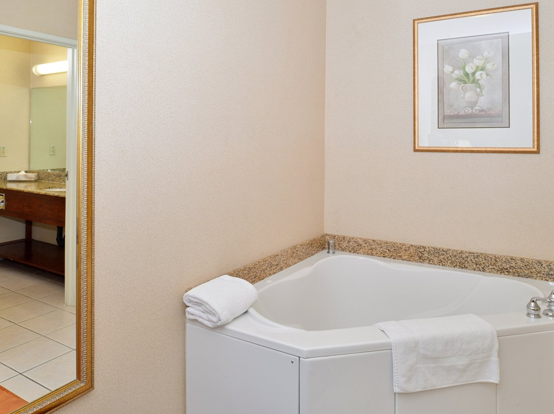 Starlight Inn & Suites Motel 29 Palms Joshua Tree National Park主图